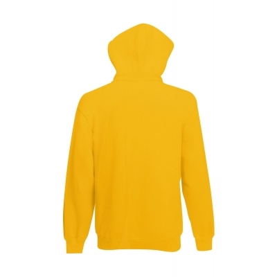 Bluza z kapturem