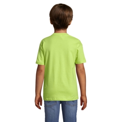 Regent dziecięcy t-shirt