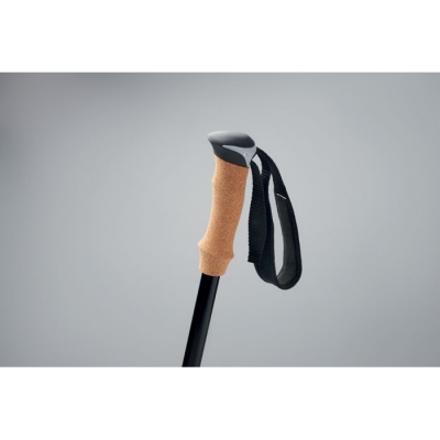 Kijki do nordic walking